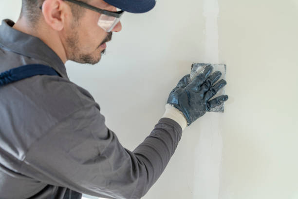 Best Commercial Mold Inspection  in Wenatchee, WA