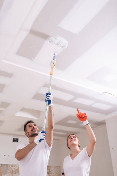 Best Basement Mold Removal  in Wenatchee, WA