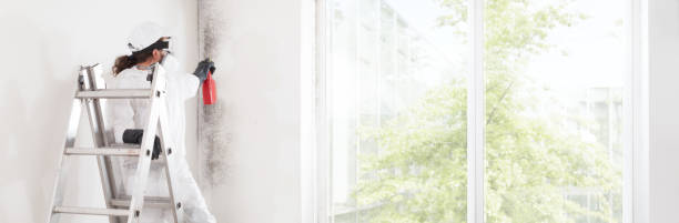 Best Mold-Related Health Consultation  in Wenatchee, WA